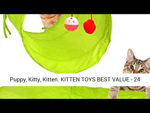 youngever 24 cat toys kitten toys - i bought weird cat toys from amazon