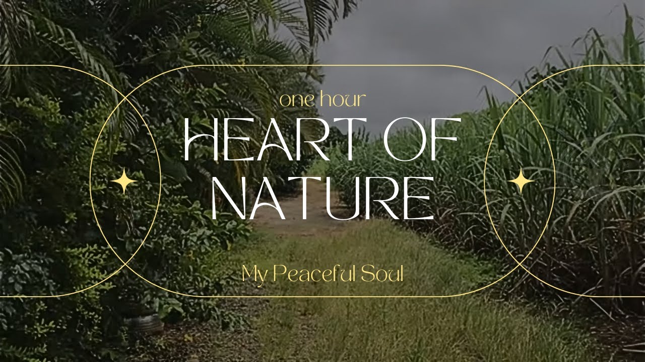 1Hr Heart of Nature: Relaxing Music to Connect with the Earth's Serenity