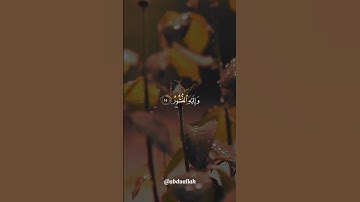 سورة الملك القارئ #ياسر_الدوسري #فلسطين#السعودية#الجزائر#المغرب#مصر#تونس#ليبيا#موريتانيا#اكسبلور#عرب