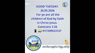 elohim church West Saidapet