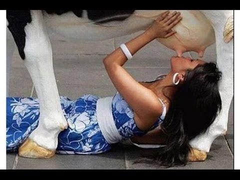 05 # VÍDEOS ENGRAÇADOS / INCIDENTES / ACIDENTES / RISOS / PIADAS / HUMOR / CHOQUE