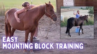 TEACH YOUR HORSE TO LINE UP🐴 easy mounting block training