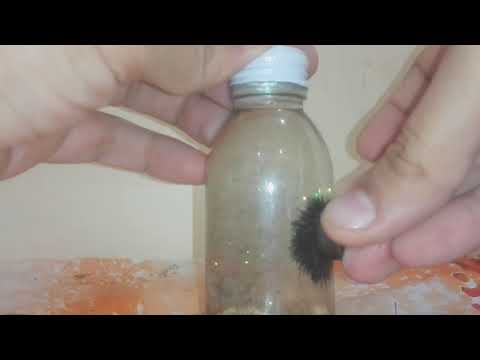 عمل تجربة توضح شكل المجال المغناطيسي