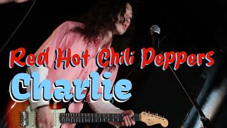 Charlie / Red Hot Chili Peppers (band cover)