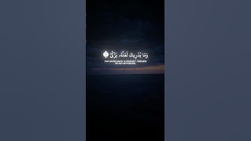 عاصم اللحيدان #تلاوة #سورة_عبس #اكسبلور #quran #عاصم_اللحيدان #shots #القرآن_الكريم #تيك_توك
