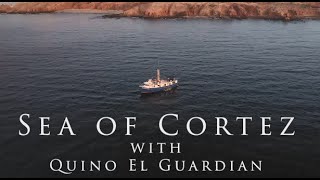 Dive the Sea of Cortez aboard Quino el Guardian