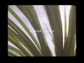 Seaside Jungle - Experimental Short with Sony A6500 + Sony 50mm 1.8