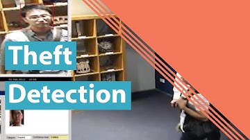 Theft Detection - Museum | WildAI | Artificial Intelligence | WildFaces.ai