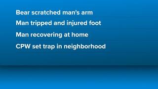 CPW Black bear swipes at man injures his arm