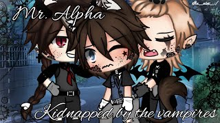 ⛓Mr.Alpha Kidnapped by the Vampires⛓|⚠Read warnings in desc.|kidnapped involved✨Glmm✨|Bl|Poly|(1/3)