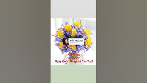 💝 ngày Quốc tế người Cao Tuổi 💝