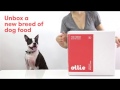 Ollie Unboxing: Healthy Dog Food Delivered