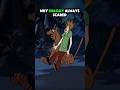 “The Real Reason Shaggy Is Always Terrified” #scoobydoo #shaggy #shorts