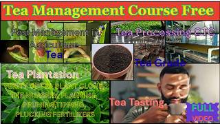 Tea Management Course Free | Tea Management Course in Assam | Tea Management Course in Siliguri screenshot 4