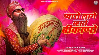 PYAARO LAAGE MHANE BIKANO || BIKANER HOLI DJ SONG || screenshot 5