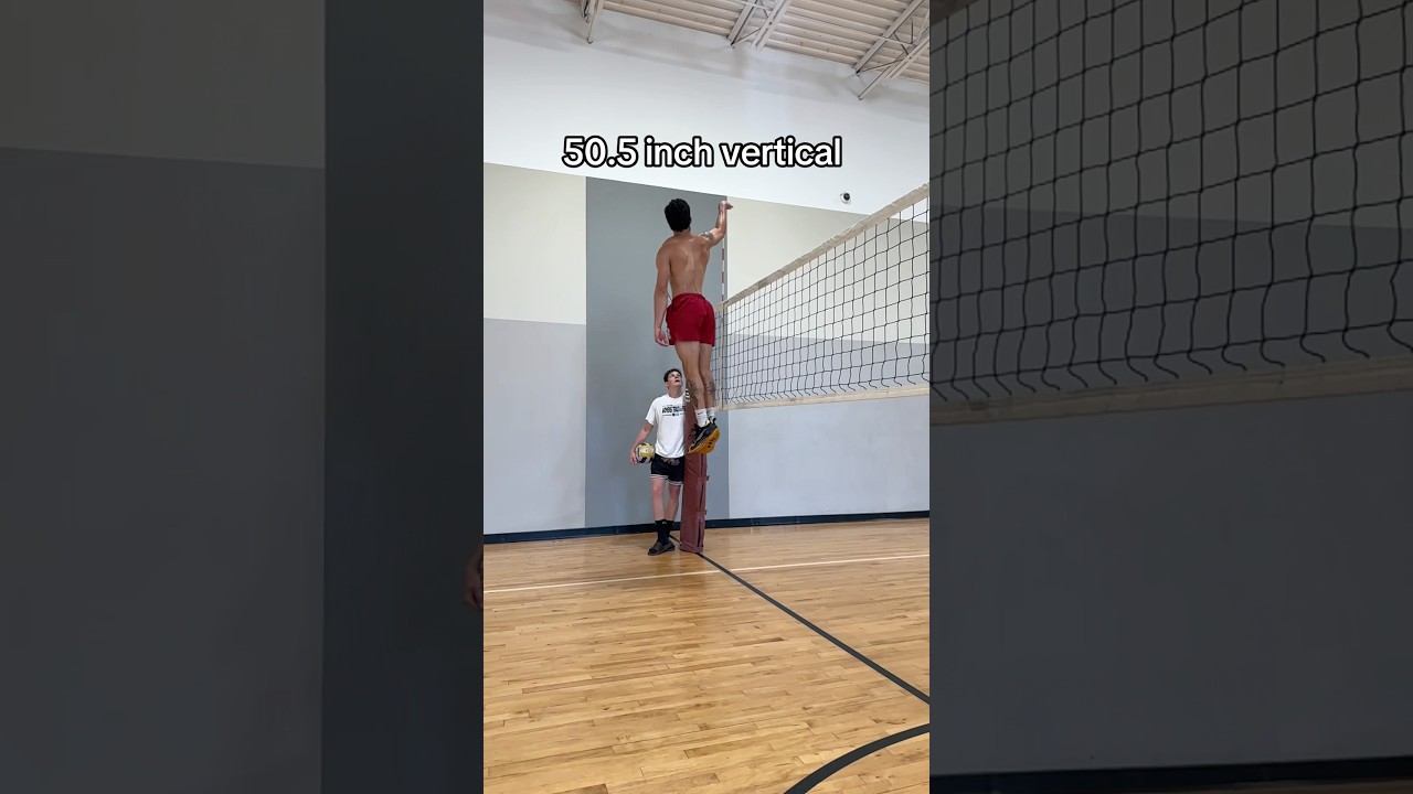 Проверка высоты волейбола тремя самыми высокими прыгунами в истории 🔥