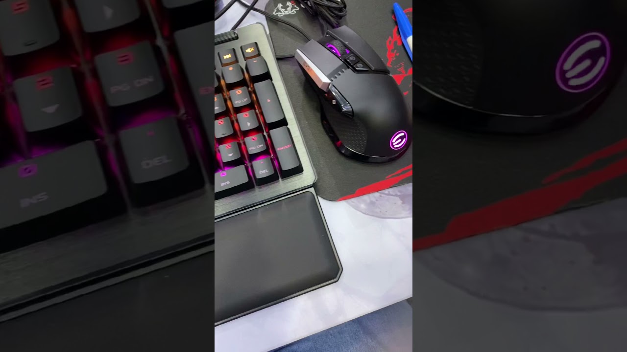 EVGA Z15 gaming keyboard and EVGA X17 gaming  mouse