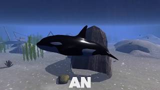 Orca Killer Whale VS Dolphin, Sharks, Blue Whale, Octopus, Ultimate Ocean Simulator Part 3 screenshot 2