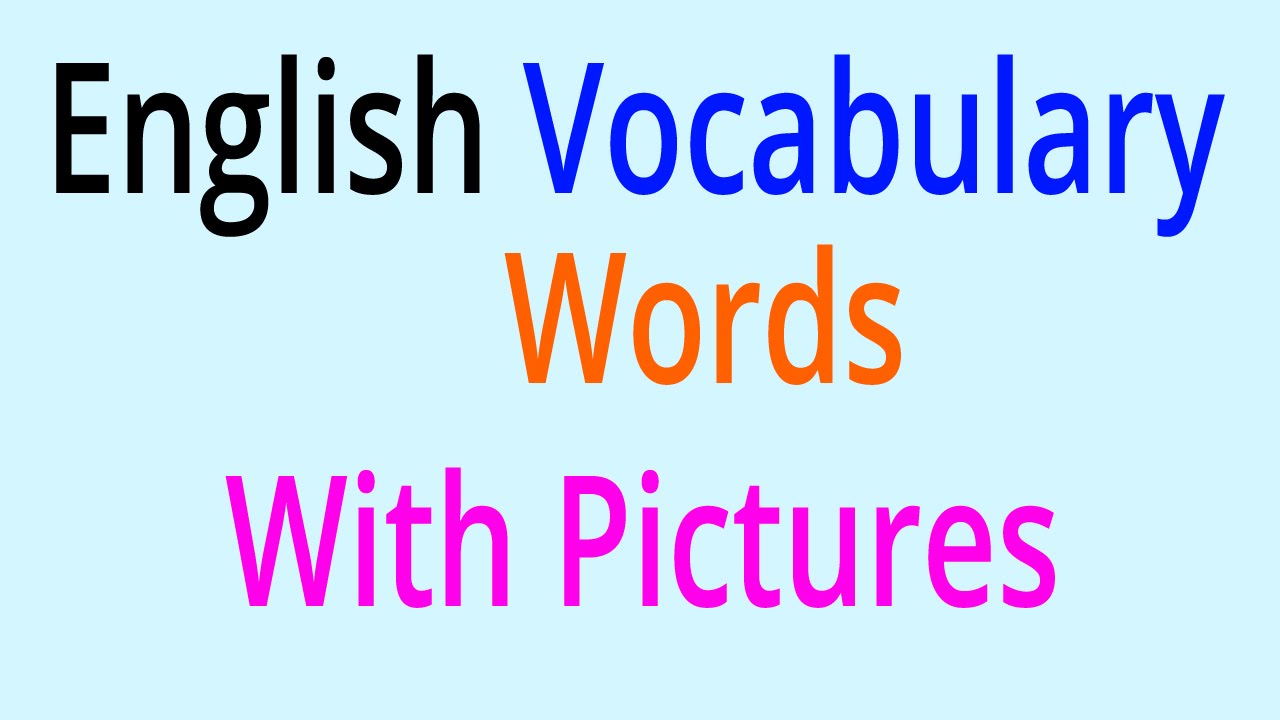 Pin by sandy on Learn english  English vocabulary words learning, English  words, English vocabulary words