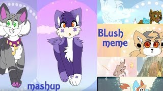 BLUSH MEME (Mashup)