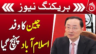 High-level Chinese delegation reached Islamabad - Aaj News