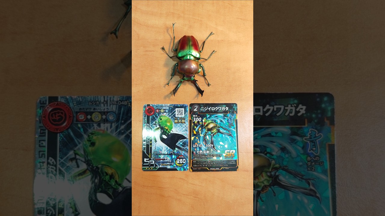 新甲虫王者ムシキング X 蟲神器 - ニジイロクワガタ #ムシキング