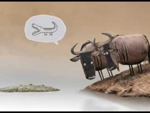 ნაცია -- ქოცია