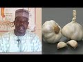 Kiwon Lafiya Amfanin Tafarnuwa Galic Ga Lafiyar Dan Adam Tare Da Dr Adam Salisu Hassan 