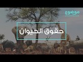 حقوق الحيوان