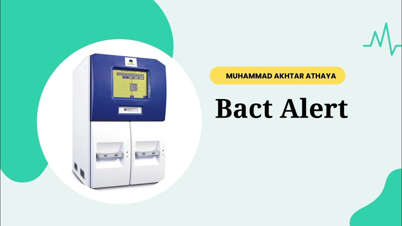 PENGERTIAN DASAR BACT ALERT - YouTube