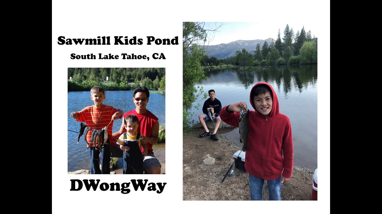 Fishing Sawmill Pond 20230424 Youtube
