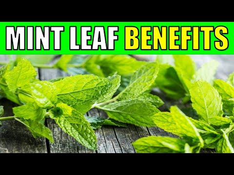 10 Powerful Health Benefits of Mint Leaves YOU CAN'T