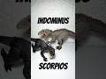 Scorpios Rex vs Indominus Rex Hammond Collection Jurassic World