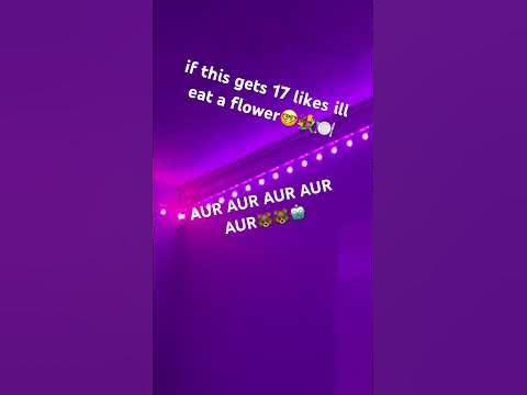 AUR AUR AUR AUR AURRRRR🐻🐻🐻🐻🐻🐻#fyp #viral #slay #fnaf - YouTube