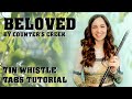 BELOVED - Counter's Creek - Low Whistle Tune | Tin Whistle Tabs Tutorial