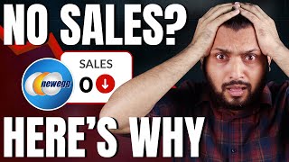 Details Most Newegg Sellers Are Losing Thousands | And They Don’t Even Know Why Update