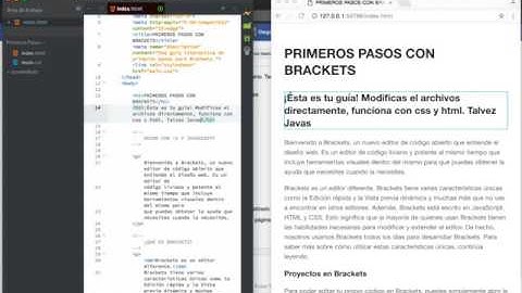 Brackets Vista Previa Dinámica || Live Preview