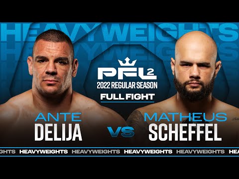 Ante Delija vs Matheus Scheffel fight footage