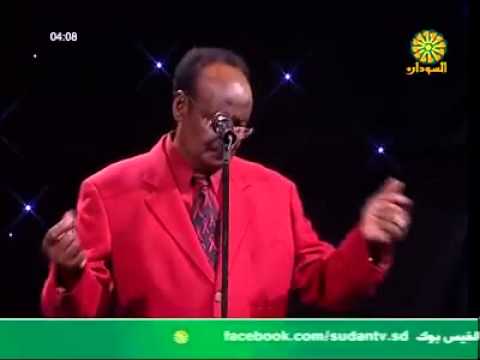 علي السقيد امر الهوى