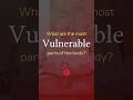 What are the Most Vulnerable Parts of the Body? #Shorts