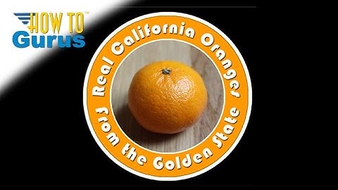 How You Can Add Logo Text in a Circle with Photoshop Elements