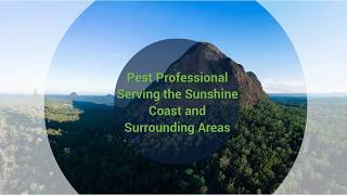 Pest Control Sunshine Coast
