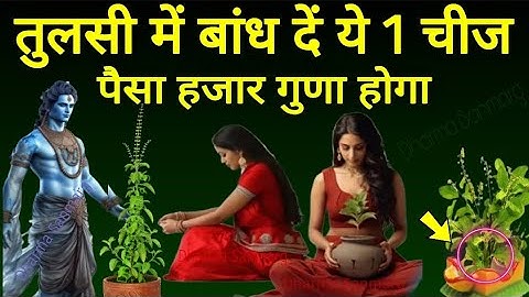 तुलसी में बांध देना ये 1 चीज घर में कभी गरीबी नहीं आएगी।Vastu tips Shri krishna | Pradeep ji mishra