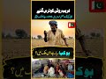 چینی کی برآمد کے برکات چینی کی قیمت بعض شہروں میں 210 روپے کلو تک جا پہنچی   
