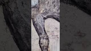 Yakin nahi ho raha #viralvideo #drawing #art #shortsfeed #viral #shivaji