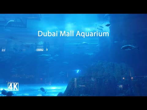 Dubai Aquarium