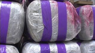 030707 CONROE POT BUST