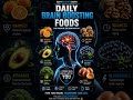 🧠 Daily Brain Boosting Foods for Sharper Focus &amp; Memory