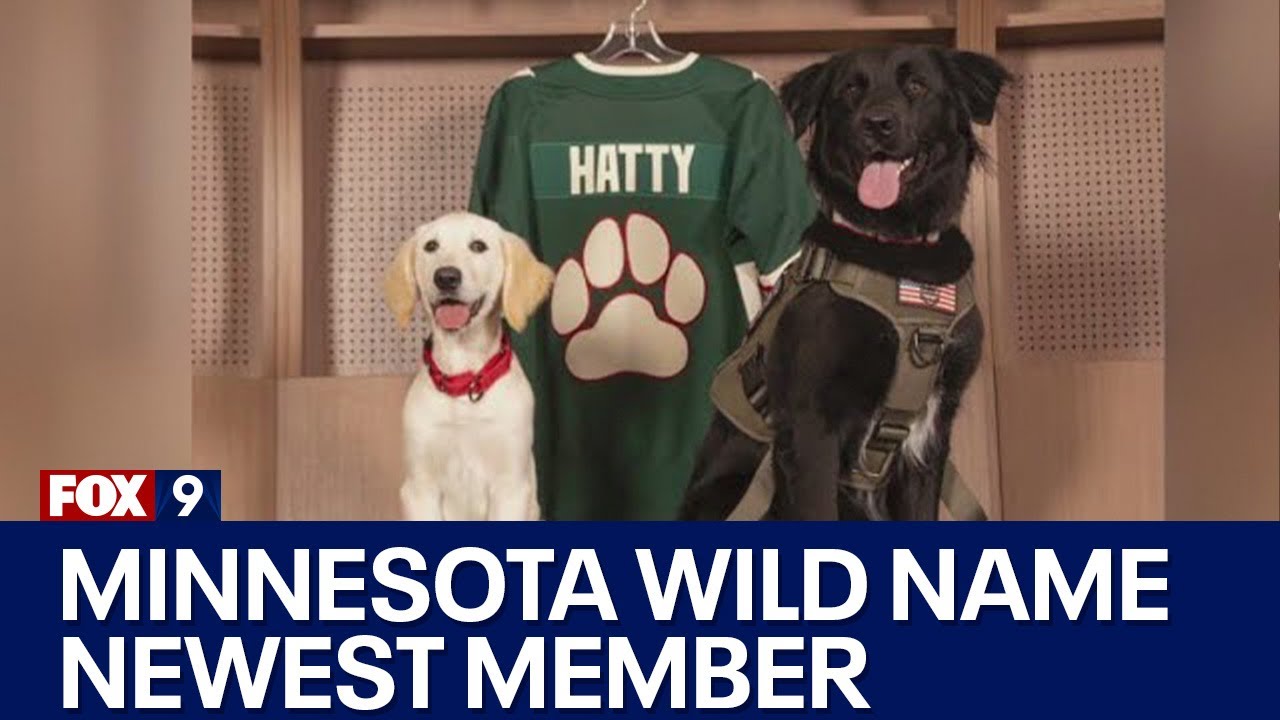 Minnesota Wild Alternate Dog Jersey