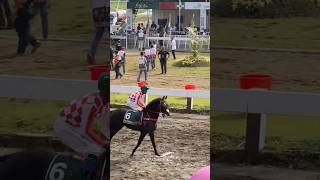 🥇🥇ARCEUS NAGARI 🐎kelas C kejuaraan pacuan kuda PIALA RAJA MANGKUNEGARAN &amp; TRIPLE CROWN SERI II